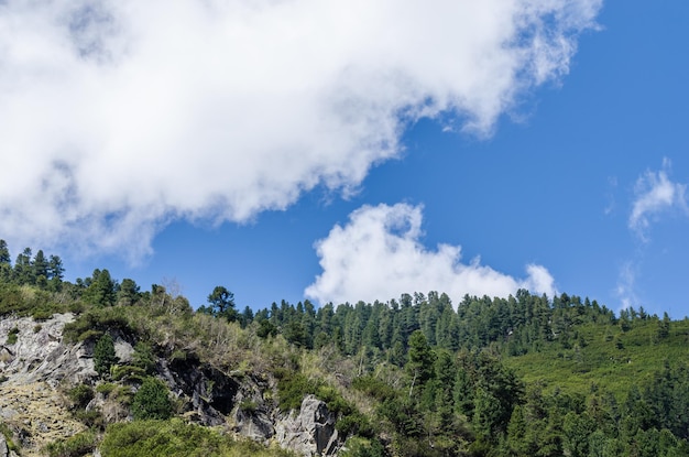 Bäume, Berg und Himmel