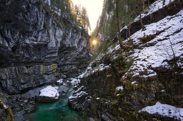 Foto bäume, die im winter auf felsen wachsen