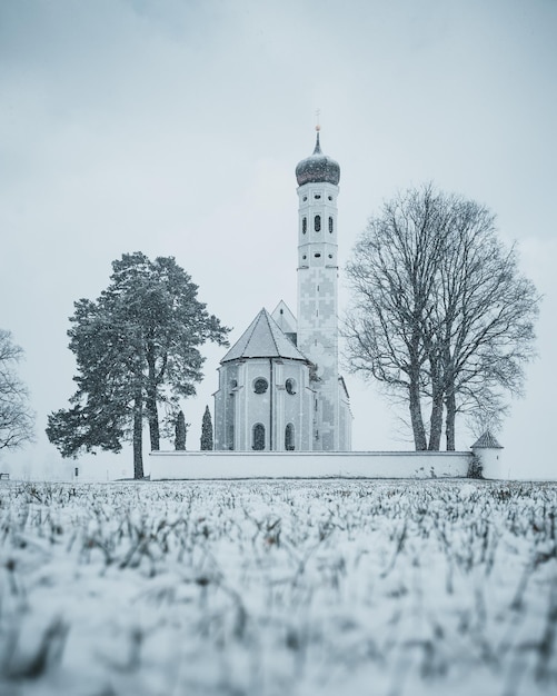 Bäume, die im Winter gegen den Himmel bauen