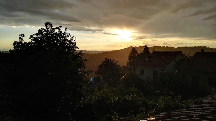 Foto bäume gegen den himmel beim sonnenuntergang