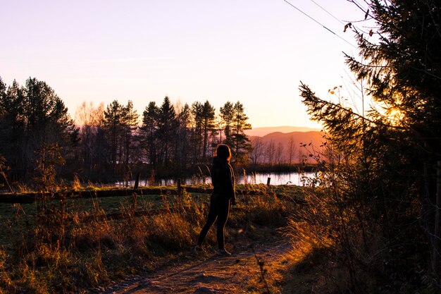 Foto bäume gegen den himmel beim sonnenuntergang