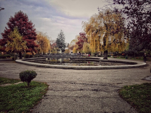 Foto bäume im park gegen den himmel im herbst