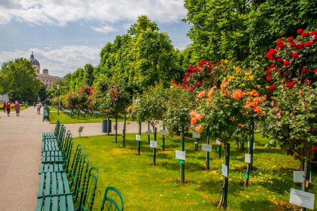 Foto bäume im park im herbst