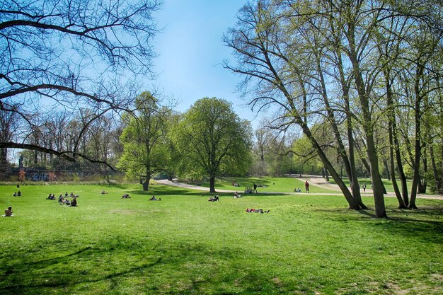 Bäume im Park