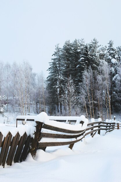 Bäume im Wald mit Schnee bedeckt im Vordergrund schiefen Zaun