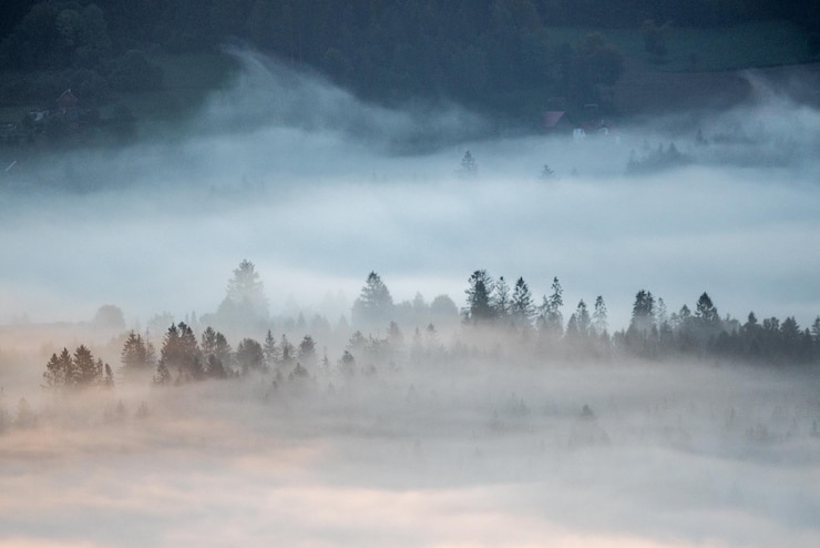Foto bäume in der landschaft gegen den himmel