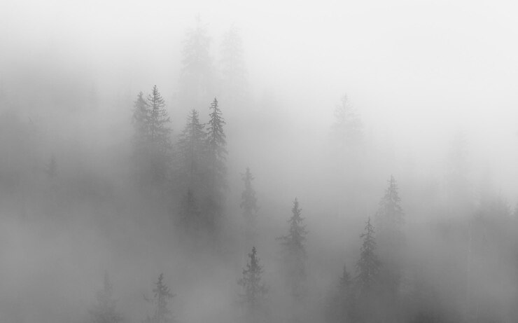 Foto bäume in einer schneebedeckten landschaft