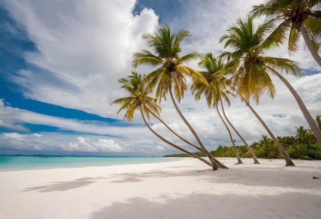 Bäume mit dem weißen Sand auf dem Strand mit wunderschönen Wolken Himmel