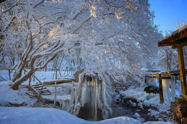 Bäume mit Zuckerguss in der Nähe der alten Mühle Frosty Winter