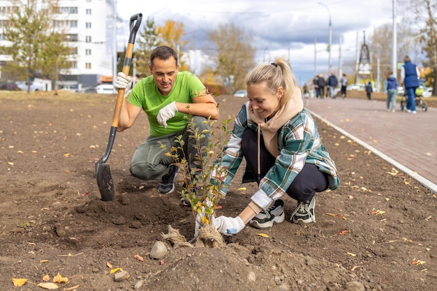 Bäume pflanzen in der Stadt Landschaftsbau Walters pflanzt Büsche