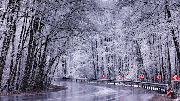 Bäume umgeben eine hochwertige Asphaltstraße Winterberglandschaft Konzeptreise Turn