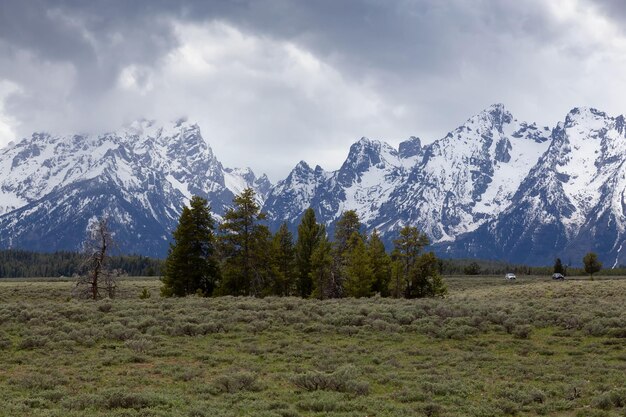 Bäume, umgeben von Bergen in der amerikanischen Landschaft