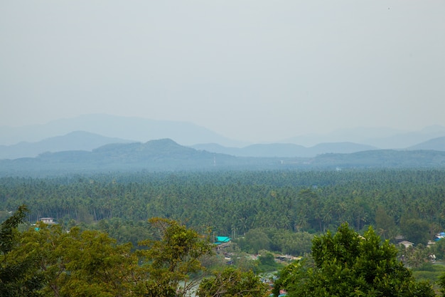 Bäume und Berge.