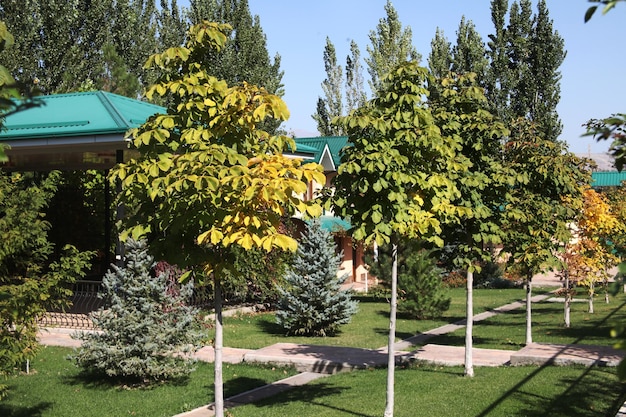 Bäume und Blumen schaffen ein Mikroklima im Garten