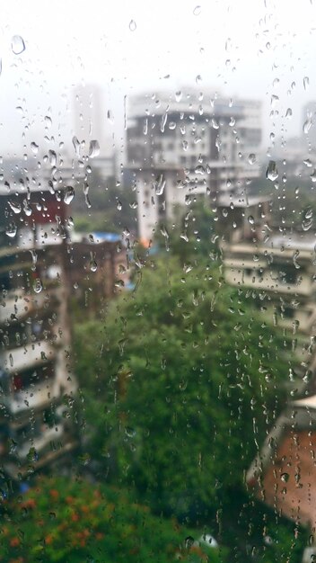 Bäume und Gebäude, die während der Regenzeit durch ein nasses Glasfenster gesehen werden