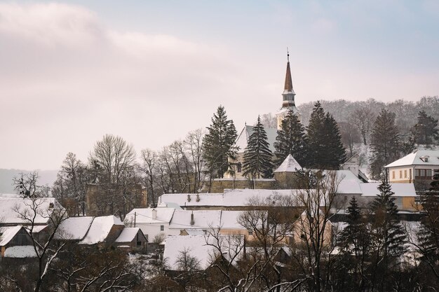 Bäume und Kirchen und Gebäude, die im Winter mit Schnee gegen den Himmel bedeckt sind