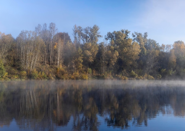 Bäume und Nebel am Morgen im Herbst