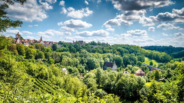 Foto bäume und pflanzen, die auf dem feld gegen den himmel wachsen