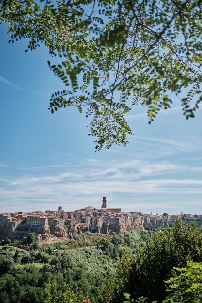 Foto bäume und pflanzen gegen den himmel