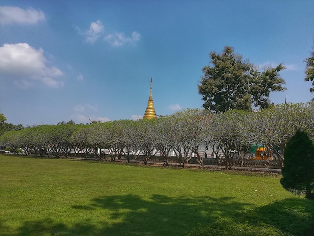 Foto bäume und tempel gegen den blauen himmel