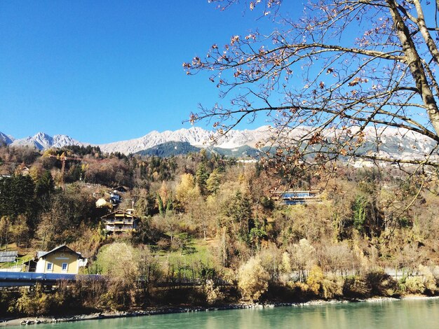 Bäume wachsen vor dem Fluss vor dem blauen Himmel