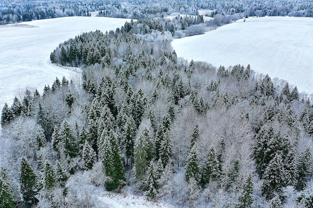 Bäume Wald Frost Draufsicht Hintergrund, abstrakte Drohnenansicht Natur saisonale Winterfichte