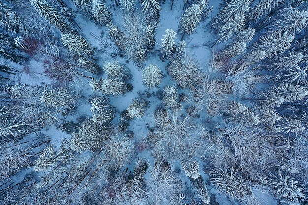 Bäume Wald Frost Draufsicht Hintergrund, abstrakte Drohnenansicht Natur saisonale Winterfichte