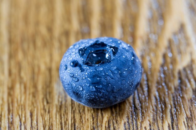 Baga azul de mirtilo coberta com gotas de água