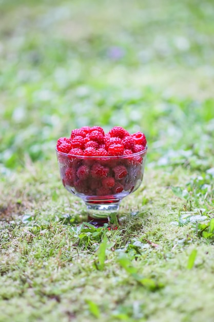 Bagas de verão doce maduras frescas