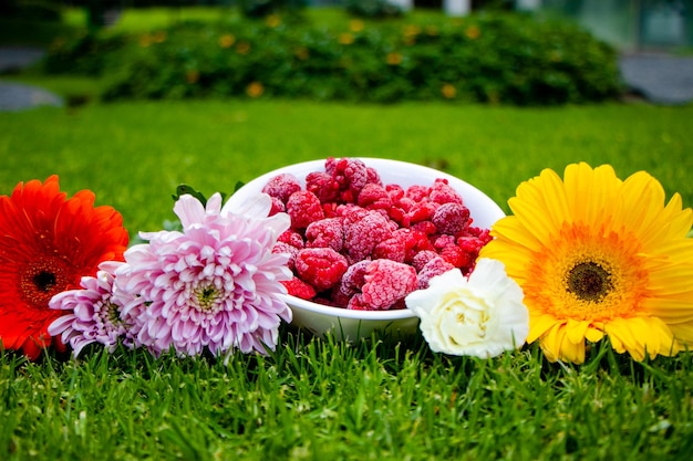 Bagas vermelhas com flores ao redor em uma grama verde