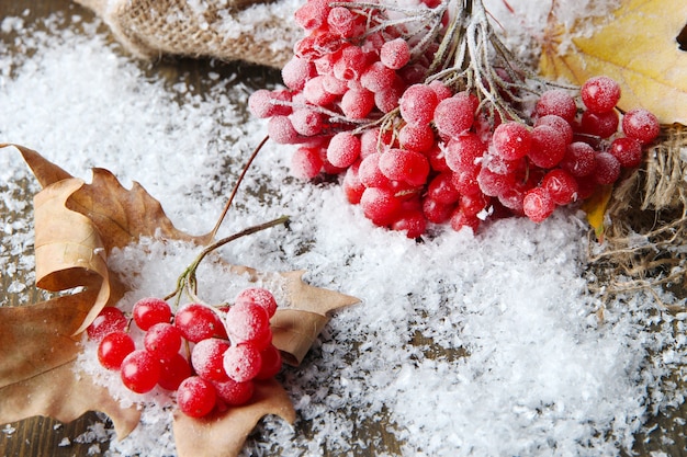 Bagas vermelhas de viburnum e neve no guardanapo de pano de saco, sobre fundo de madeira