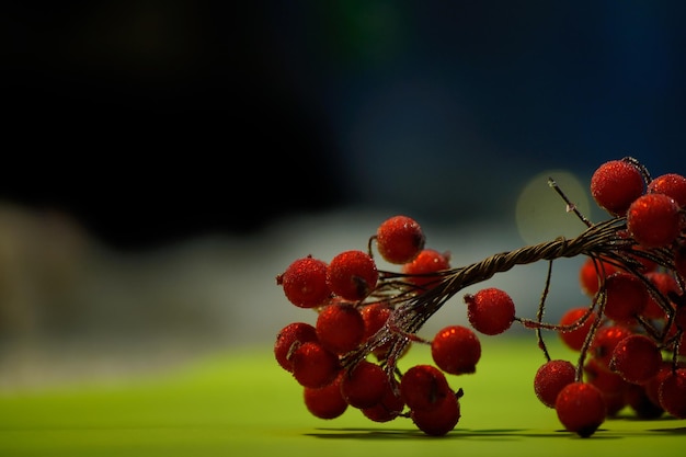 Bagas vermelhas em um fundo colorido brilhante um símbolo de inverno e natal