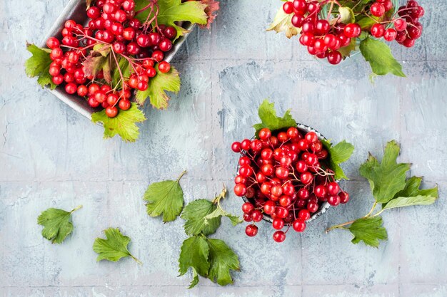 Bagas viburnum maduras com folhas em uma tigela na mesa Bem-Estar Medicina Alternativa e Vitamina Nutrição Top viiew