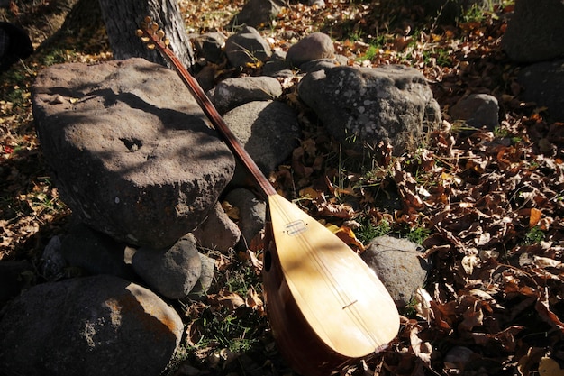 baglama saz instrumento musical turco