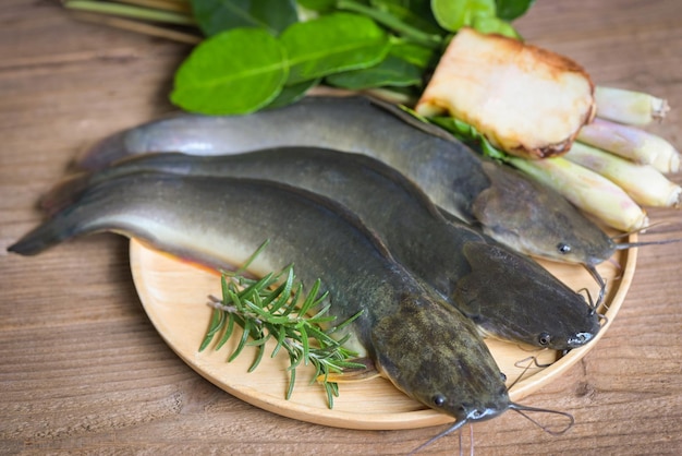 Bagre en plato bagre crudo fresco pescado de agua dulce bagre para cocinar pescado con ingredientes hierba romero sobre fondo de madera