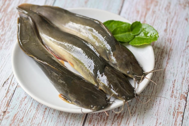 Bagre en plato bagre crudo fresco pescado de agua dulce bagre para cocinar pescado con ingredientes hierba romero sobre fondo de madera