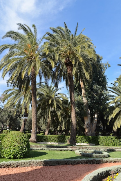 Bahai-Gärten in Haifa