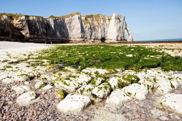 Foto bahía del acantilado de etretat, francia