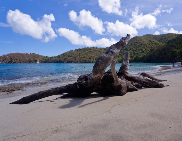 Bahía de Hawksnest en San Juan