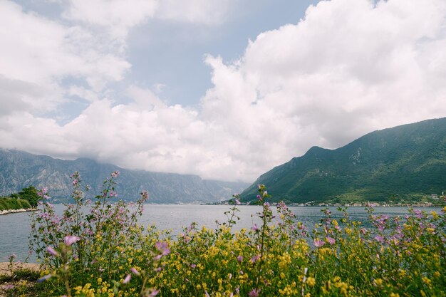 Bahía de Kotor con el telón de fondo de vistas a las montañas desde la costa de perast montenegro