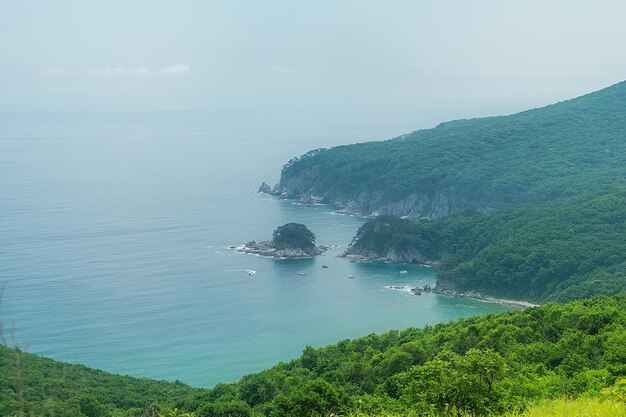 Bahía del mar con altos acantilados cubiertos de vegetación verde