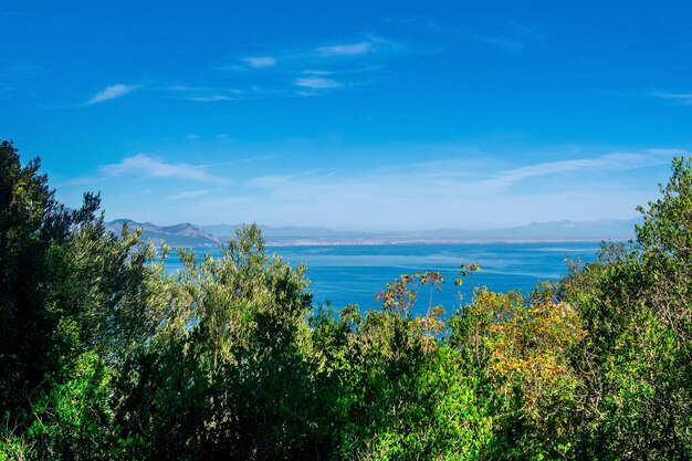 Bahía del mar con una costa montañosa distante, vista desde la montaña a través de las ramas de los árboles en la costa de Antalya