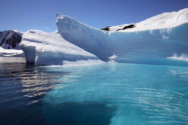 Bahía Paraíso Península Antártica La Antártida