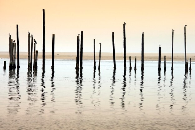 Bahía de Walvis Namibia