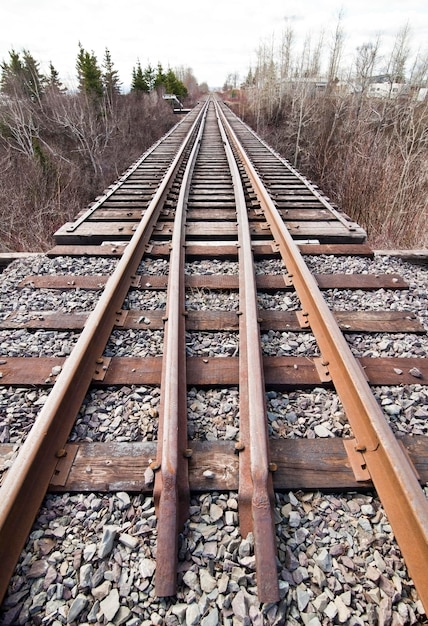 Foto bahngleisbrückexa