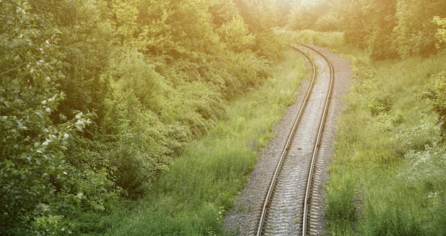 Bahngleise im grünen Feld