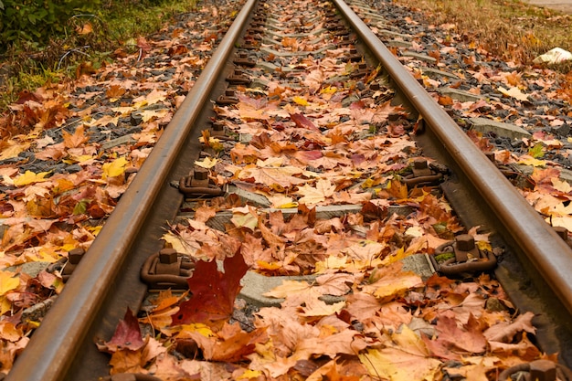 Foto bahngleise im herbst