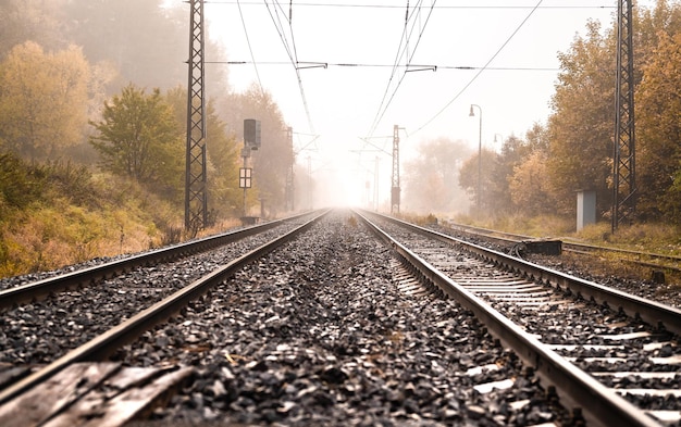 Bahngleise im Land auf der Herbstzugfahrt