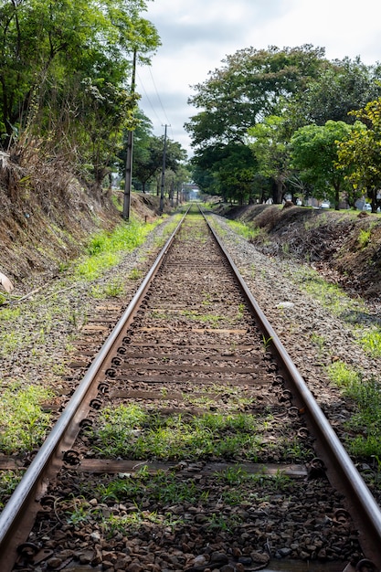 Bahnstrecke umgeben von Vegetation