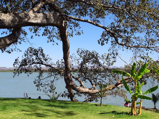 Bahr dar, lago tana, na etiópia, áfrica